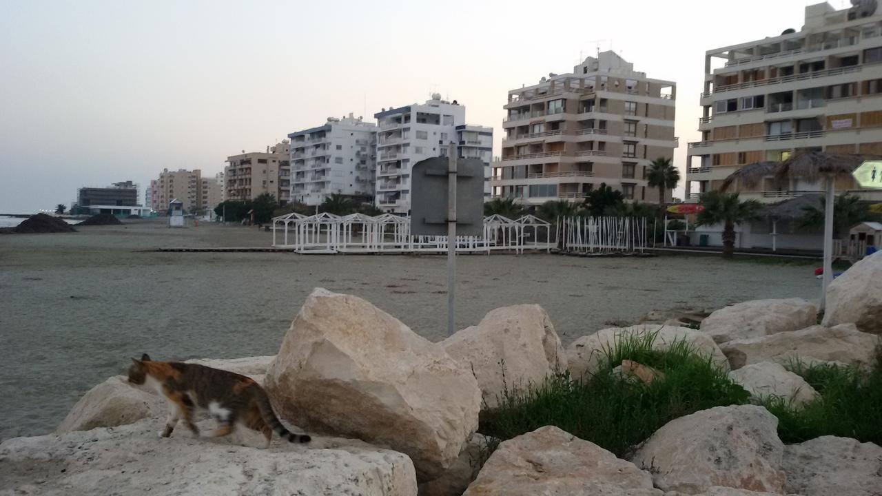 Lca2 Flat For You Apartment Larnaca Ngoại thất bức ảnh